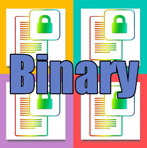 Binary Encoder