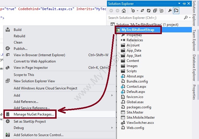 Bootstrap-ASP.NET-3