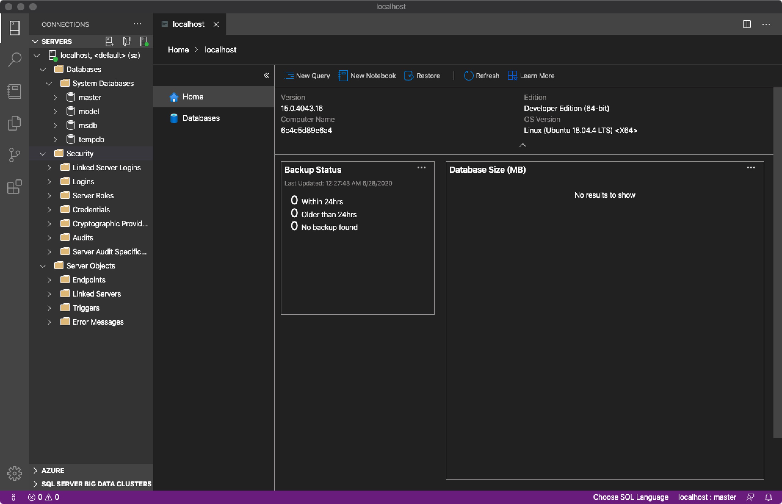 Connected to Docker SQL Server