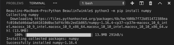 Installing Python Packages
