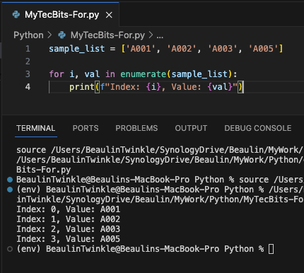 Accessing the index while iterating a sequence with a for loop in Python