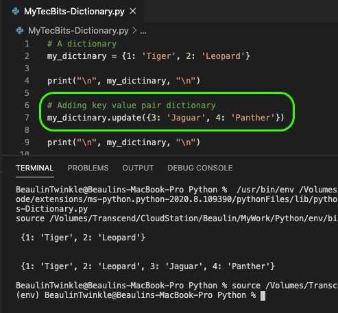 Adding Key Value Pair To A Python Dictionary using update() method