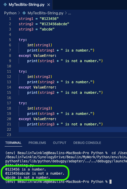 Check If The Given String Is A Number In Python