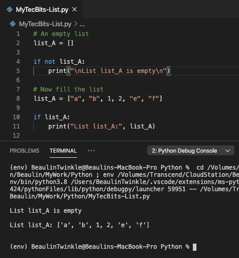 check if the list is empty in Python