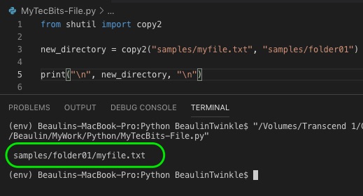 copy a file in Python