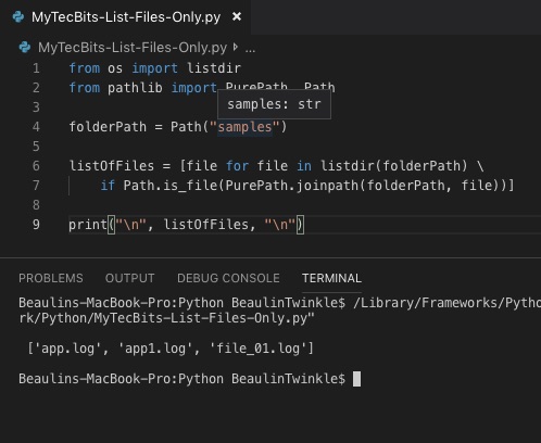 find only the files in a directory in Python