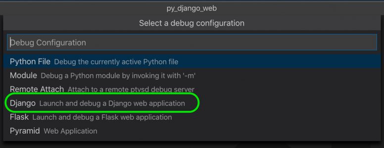 Selecting debugger