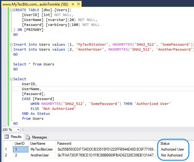 Hash Code Encryption with HASHBYTES in SQL Server