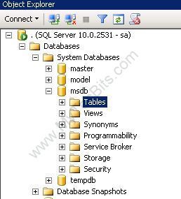 SQL-Server-MSDB-Database