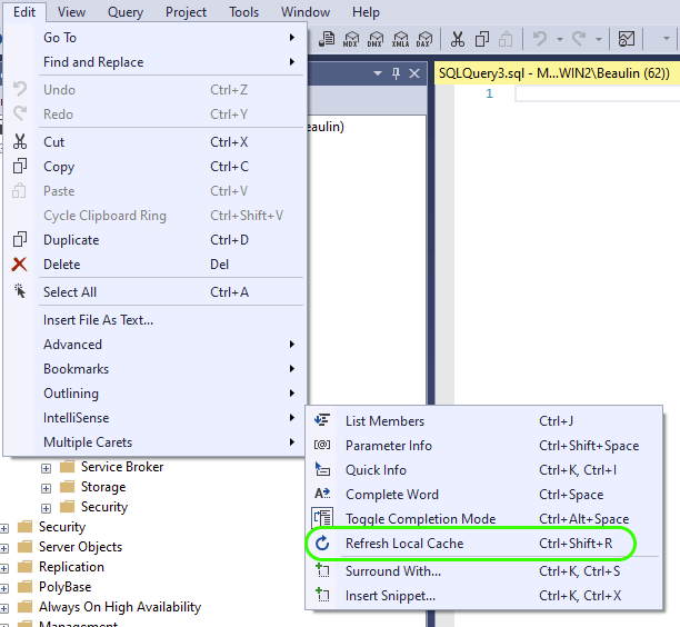 Refresh IntelliSense Cache