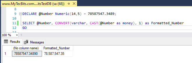 Format a number with commas using CONVERT and CAST functions
