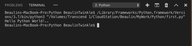 run python file in terminal