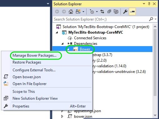 Bootstrap In ASP.NET Core MVC 04