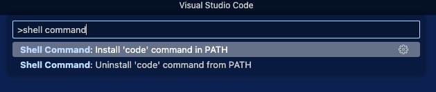Install VS code in path of macOS